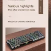 Punk Mechanical Keyboard Wireless APAYADO Dynamic RGB Lighting,68Keys Bluetooth Tri-Mode Connection,Full-key Hot-Swap