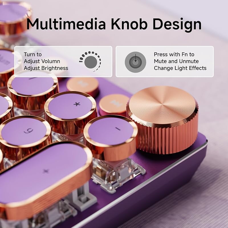 Mechanical Keyboard, Typewriter Style 104 Key Retro Keyboard, Pink Linear Switch, RGB Backlit with Media Knob, for Windows/Mac Gaming & Typing (Purple)