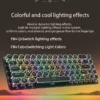 DK68 Punk Mechanical Keyboard Wireless APAYADO Dynamic RGB Lighting,68Keys Bluetooth Tri-Mode Connection,Full-key Hot-Swap